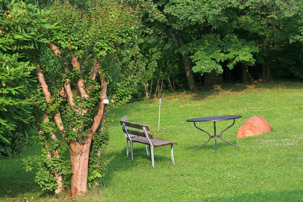 Castello Rosso Hotel Costigliole Saluzzo Ngoại thất bức ảnh